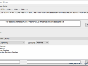 CNH-approved password generation computing service (charged per use)