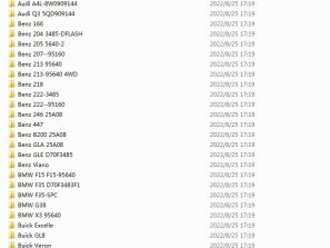 xDecoder 10.3 10.3 DTC Fault Code Disabled