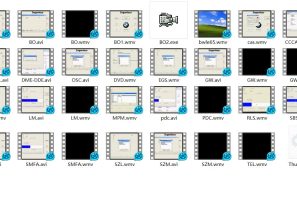 BMW Programming/Coding/Flashing Beginner Video+PDF Guide
