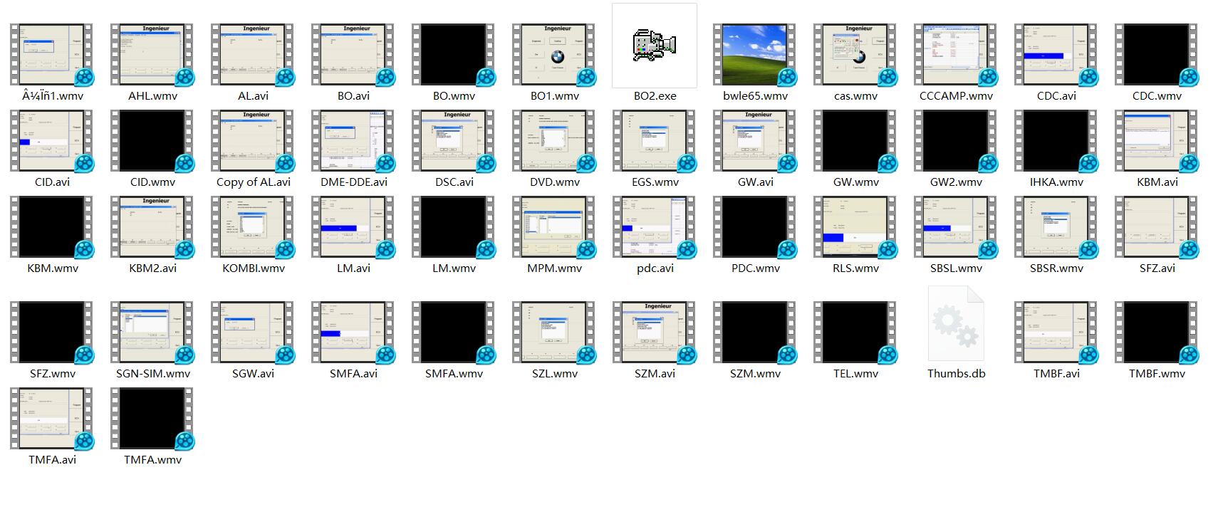 BMW Programming/Coding/Flashing Beginner Video+PDF Guide